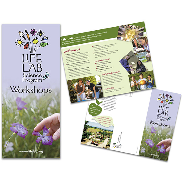 LifeLab Program brochure