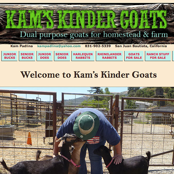 Kinders website screenshot